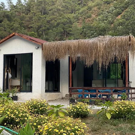 Zirkon Valley Boutique *